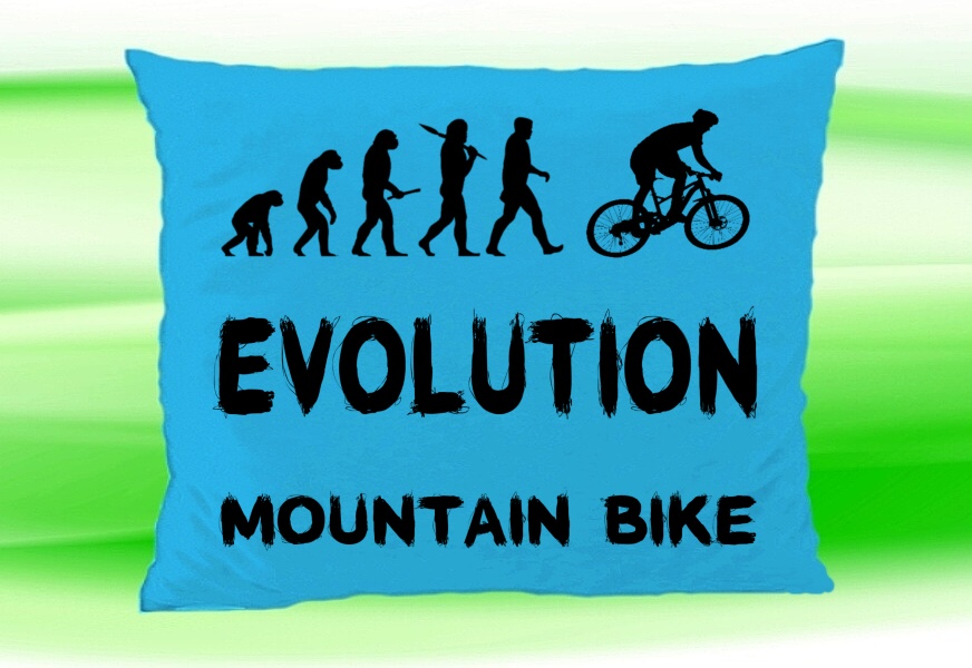 Evolution