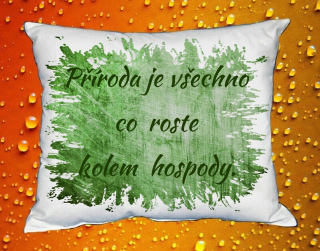 Polštář příroda je vše co roste kolem hospody zelený