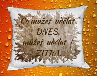 Polštář co můžeš udělat dnes, můžeš udělat i zítra hnědý