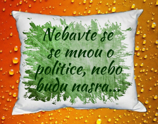 Polštář nebavte se se mnou o politice zelený