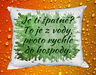 Polštář Je ti špatně ? To je z vody, proto rychle do hospody zelený