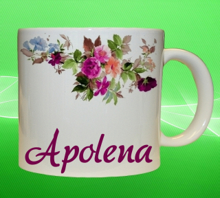 Moon River APOLENA hrnek se jménem objem 330 ml