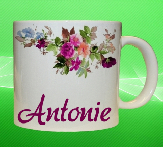 Moon River ANTONIE hrnek se jménem objem 330 ml